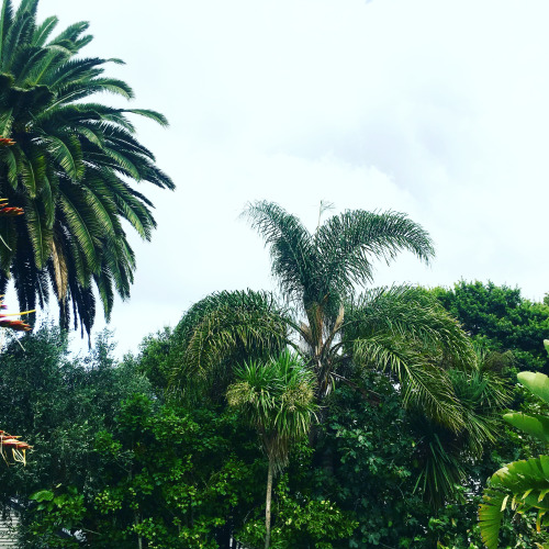 15 More Life&nbsp;Hacks